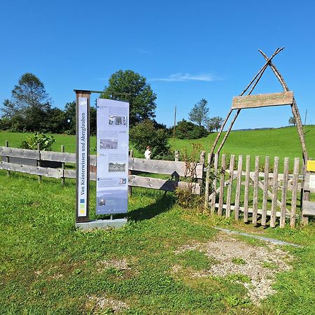 Fewo Allgaeuerle1605 Mit Hallenbad, Sauna, Tiefgarage Und Wlan Missen-Wilhams Dış mekan fotoğraf